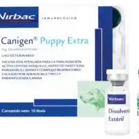 canigen mha2 puppy (10)