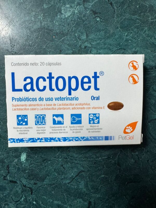 LACTOPET 20 CAPSULAS